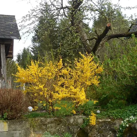 Farm stay Steinerhof Sankt Georgen ob Murau