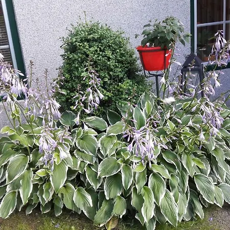 Vakantieboerderij Steinerhof Sankt Georgen ob Murau