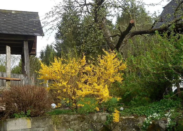 Séjour à la ferme Steinerhof Sankt Georgen ob Murau
