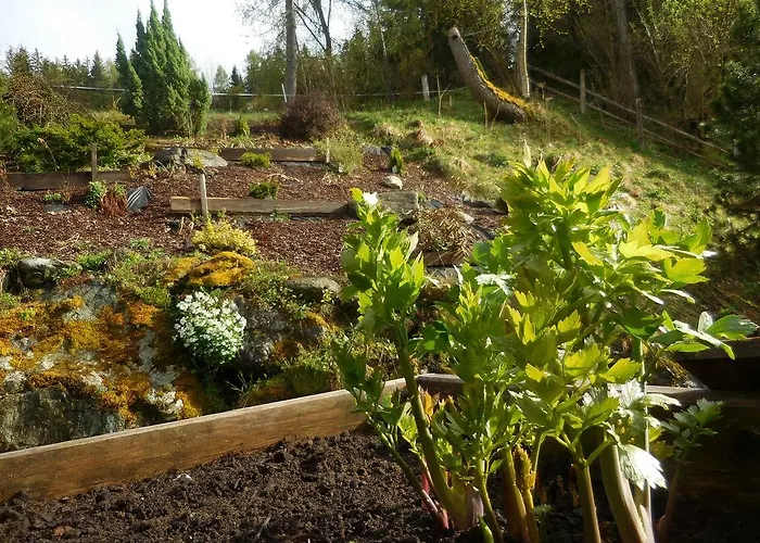 Steinerhof سانكت جورجين أوب موراو