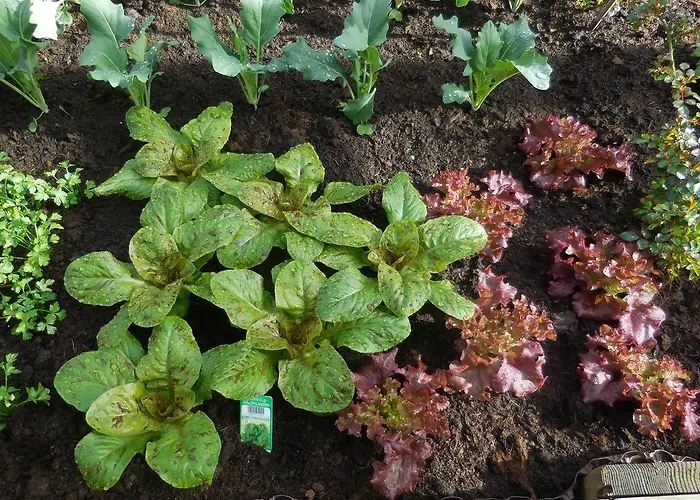 Steinerhof مزرعة للإقامة