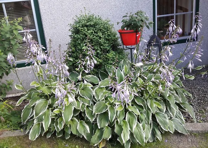 Vakantieboerderij Steinerhof Sankt Georgen ob Murau